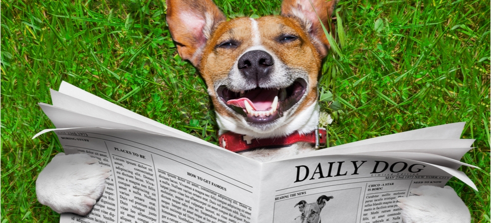 How To Get Found In Google News