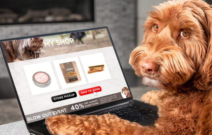 Creating Website Creditability