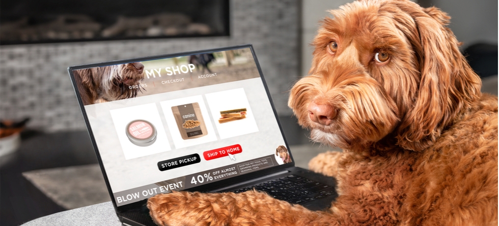 Creating Website Creditability