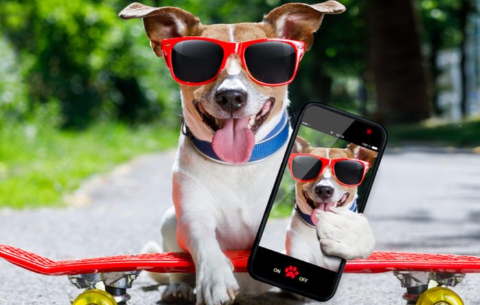 Changing Your Profile Picture On Google