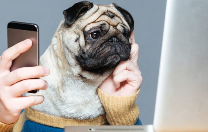 Google SERP Page Title Issue