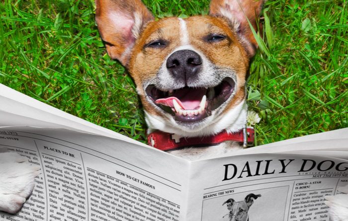How To Get Found In Google News