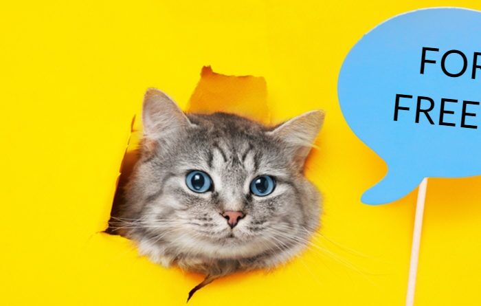 Is SEO Free?