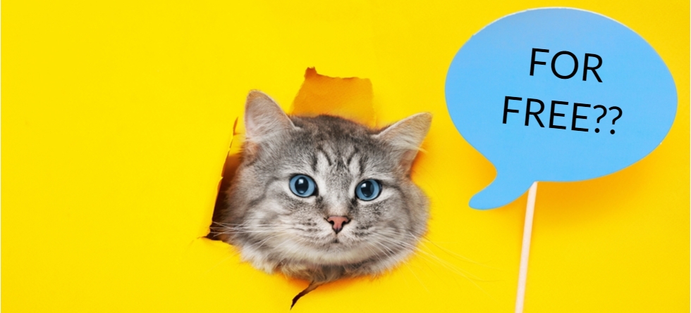 Is SEO Free?