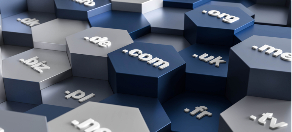 See Who Owns A Domain Name